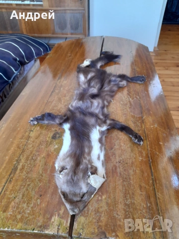 Стара кожа от Златка