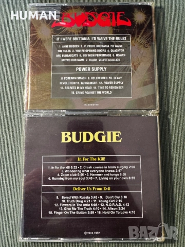 Suzi Quatro - The Rubettes - Budgie, снимка 18 - CD дискове - 54516866