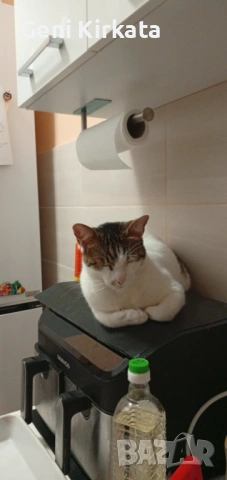 Недо