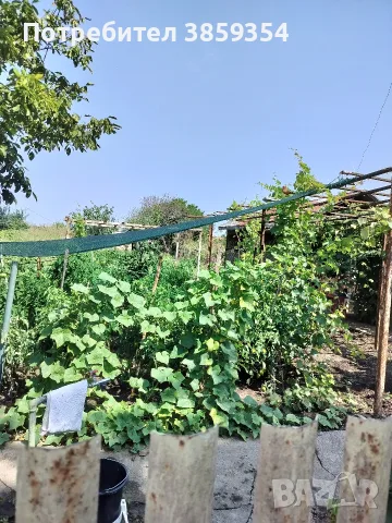 Продава дворно място 1160 кв.м., партиди ток и вода., снимка 2 - Парцели - 55598359