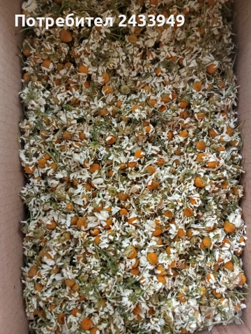 Продавам сушена лайка, снимка 2 - Други - 54632022