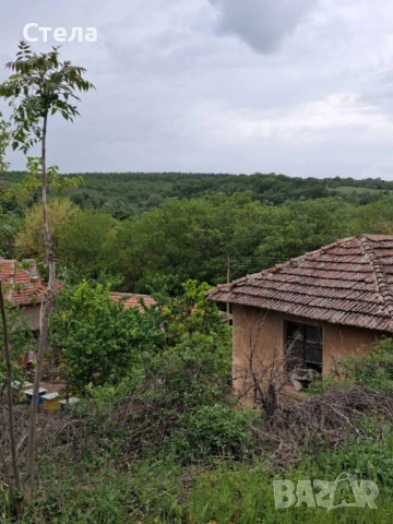 УПИ с. Драшан, снимка 11 - Парцели - 53177977