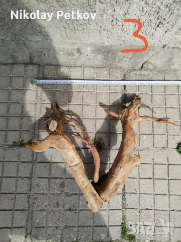 Корени за аквариум и терариум , снимка 5 - Аквариуми - 54393274