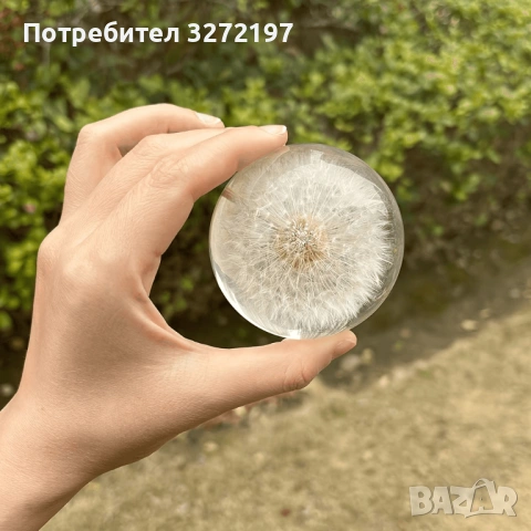 FUFIZU Кристална топка-глухарче, снимка 8 - Декорация за дома - 54090656