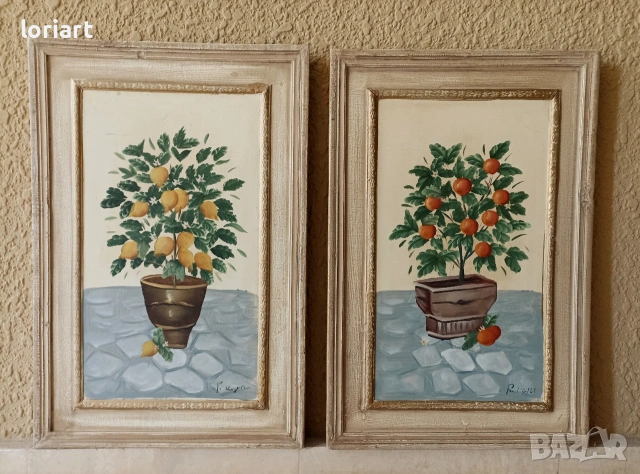 Цитрусови дръвчета/картини винтидж