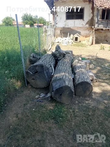 Продавам дърва орехи за материал дом и градина 