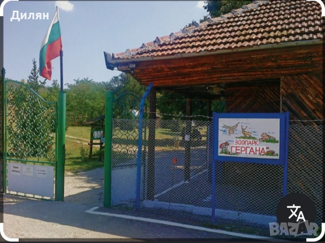 Нива в близост до зоопарк гергана на 50 метра от нея 