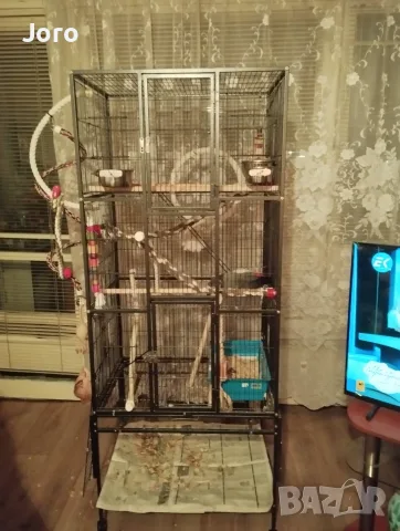 Голяма клетка за птици