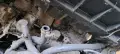 Двегател мерцедес 124 2.0 дизел, снимка 4