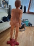 ПОРЕДИЦА ЧОВЕШКОТО ТЯЛО ВСИЧКИ ЧАСТИ , снимка 2
