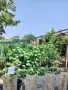 Продава дворно място 1160 кв.м., партиди ток и вода., снимка 2