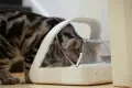 Чисто нова смарт хранилка за домашни любимци с микрочип SureFeed Microchip Pet Feeder  , снимка 3
