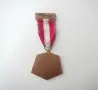 Стар Швейцарски медал Замъкът Шлосвил (Schloss Schlosswil) 1982 г., P. Kramer Neuchatel, снимка 10