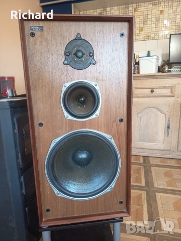 Celestion Ditton 44