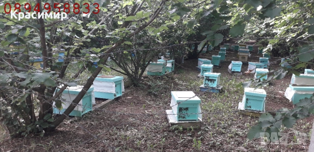 Отводки Дадан-Блат на 4 рамки, снимка 4 - Други - 54825923