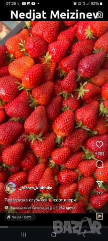ЯГОДИ ПЛОД, снимка 7 - Домашни продукти - 54558810