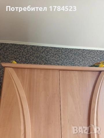 Пойни папагали с клетки , снимка 18 - Папагали - 55163669
