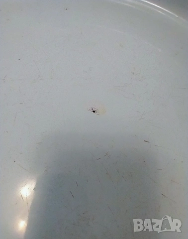 Две емайлирани тави от времето на соца, снимка 4 - Съдове за готвене - 54027987