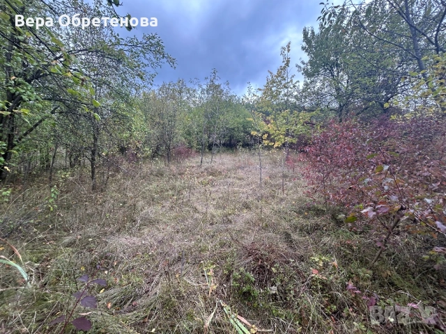 Продавам парцел с къща в с. Батулци, снимка 3 - Парцели - 54399998
