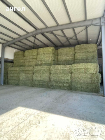 Големи бали люцерна 