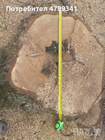 Дървен материал орех, снимка 6 - Други - 54221452