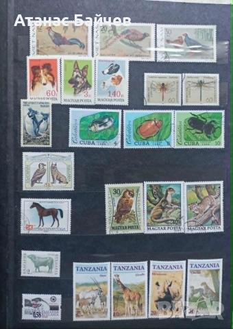 Пощ. марки - по 5 € за снимка ., снимка 3 - Филателия - 55144453
