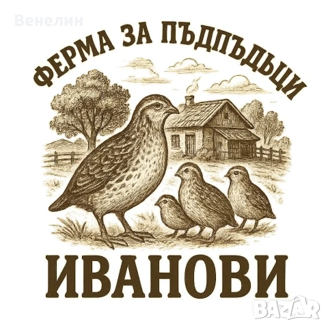 Продавам пъдпъдъци 