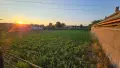 Двор в Регулация в село Раданово, снимка 3