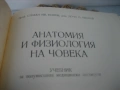 Анатомия и физиология на човека - 1976 г., снимка 3