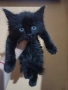 Мъжко котенце търси дом, снимка 1
