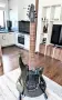 Peavey Predator Plus TR7, 2000, Korea, снимка 2