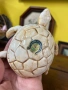 фигурка на костенурка е произведена от NR Nuova Rinascita, италианска работилница, снимка 7