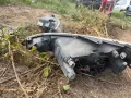 фарове ляв и десен за peugeot 206 1.4 hdi 67кс   - цена за 20 евро общо за двата   КОЛАТА Е: 50 кило, снимка 5