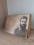 снимка на дърво, снимка 6