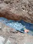 Изкопни, транспортни дейности и разчистване. , снимка 16