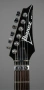 Ibanez RG270 BK, снимка 1