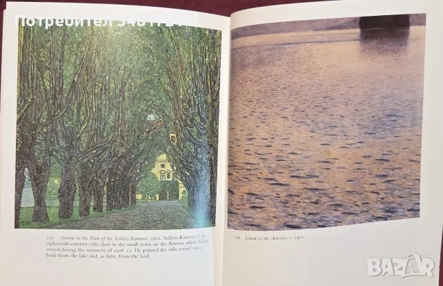 Климт - живот и творби / Klimt, снимка 14 - Изкуство, музика, кино и фотография - 55361959