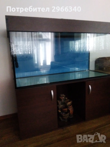 Продавам аквариум 390 литра, снимка 2 - Аквариуми - 54314018