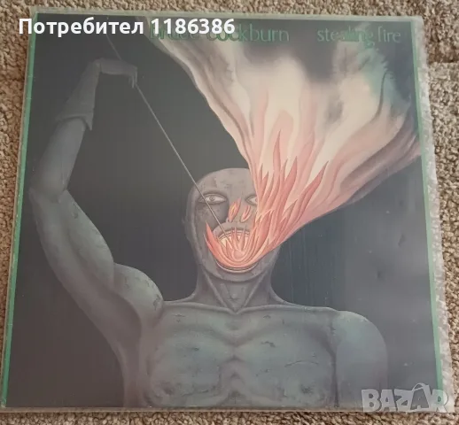 Грамофонни плочи Рок, снимка 5 - Грамофонни плочи - 55339141