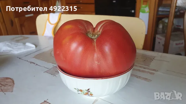 Предоставям дворно място/градина за дългосрочно безплатно ползване, снимка 16 - Парцели - 55696429