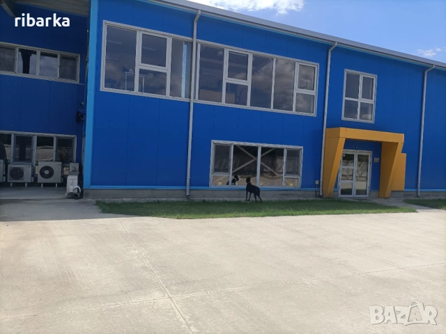 Продава ПРОМ. ПОМЕЩЕНИЕ, снимка 2 - Производствени сгради - 54916903