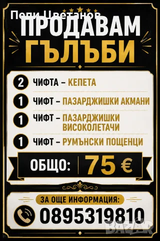 Гълъби         Гълъб 