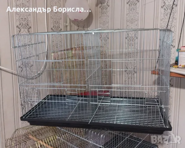  Папагали Корела, снимка 10 - Папагали - 55571482
