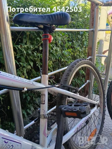 BYOX GENTLE 24" – ДАМСКО КОЛЕЛО 🚲🌸, снимка 3 - Велосипеди - 55671168