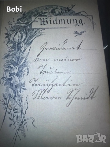 Евангелска-лутеранска библия 1895 г, снимка 4 - Антикварни и старинни предмети - 55171118