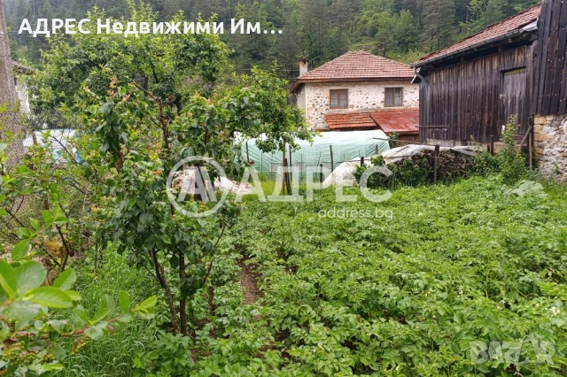 Къща/Вила, продажба, Арда, снимка 12 - Къщи - 55283287