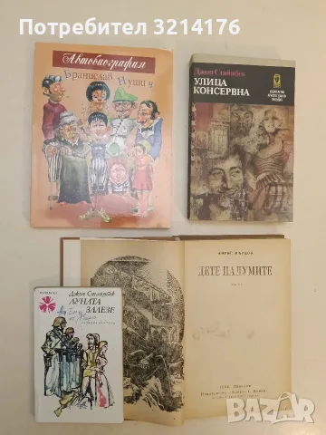Дете на думите – Айрис Мърдок, снимка 2 - Художествена литература - 55527552
