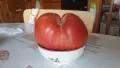 Предоставям дворно място/градина за дългосрочно безплатно ползване, снимка 16