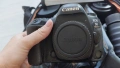 Canon EOS 5D Mark lV, снимка 1