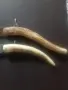 Габровски сойки..., снимка 4